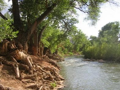 WATCHMAN CAMPGROUND photo 3