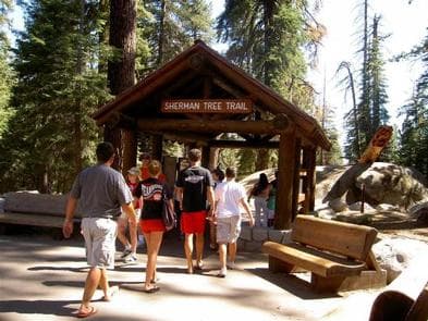 Lodgepole Campground-Sequoia and Kings Canyon National Park