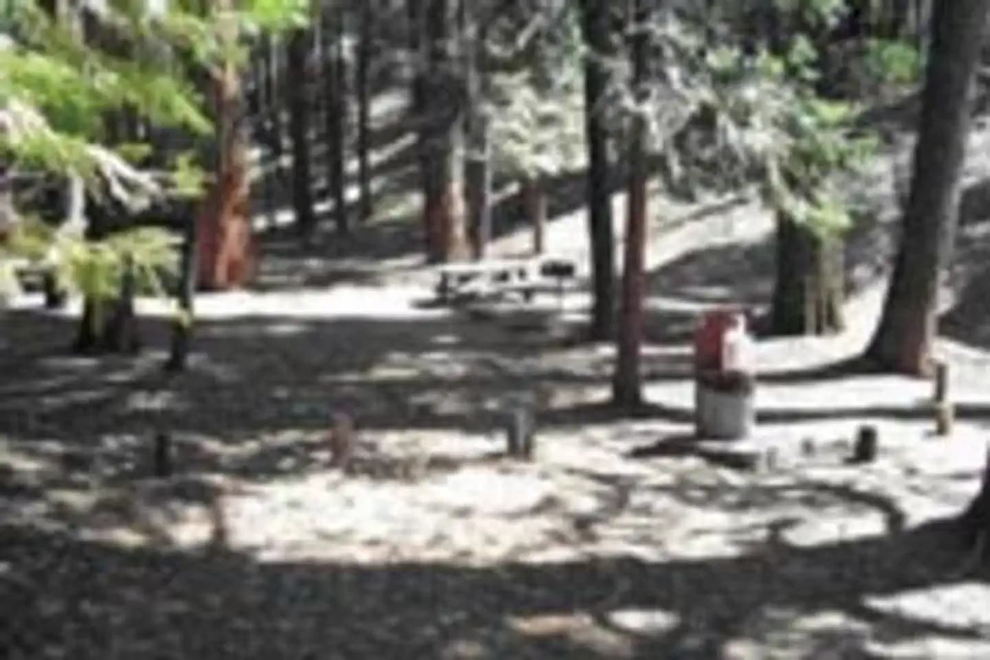 BELKNAP campground