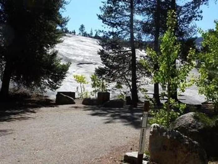 JACKASS MEADOW photo 2