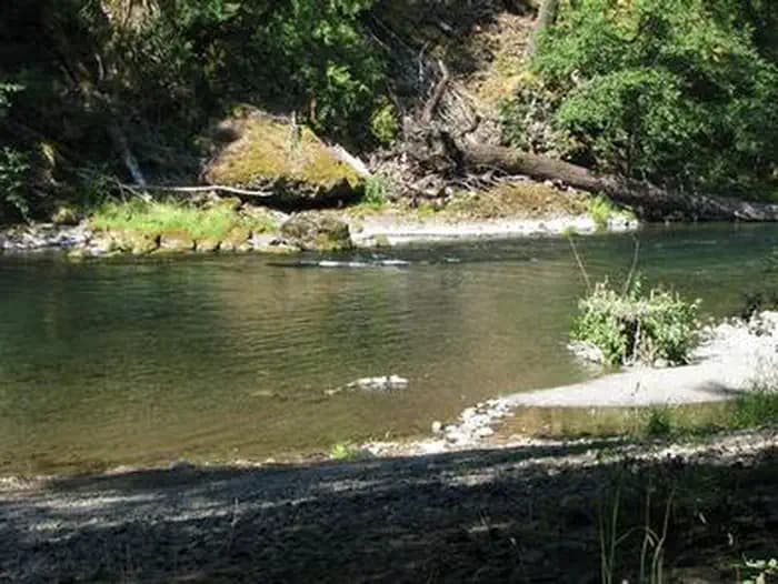 ROARING RIVER photo 2