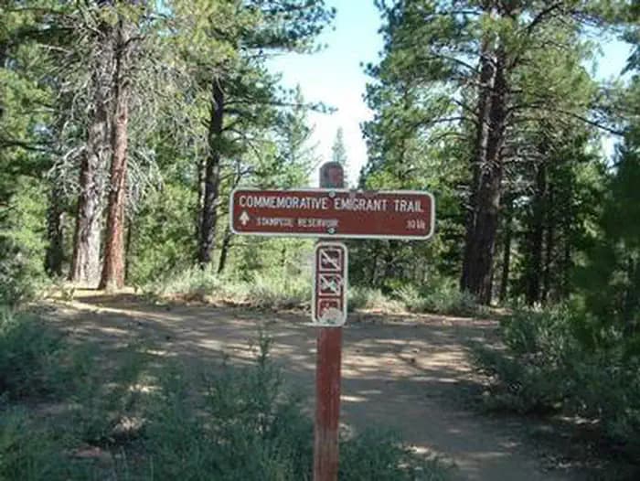 EMIGRANT GROUP photo 3