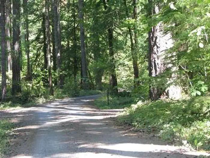 RAINBOW (OR) photo 3