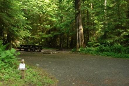 Iron Creek Campground photo 3