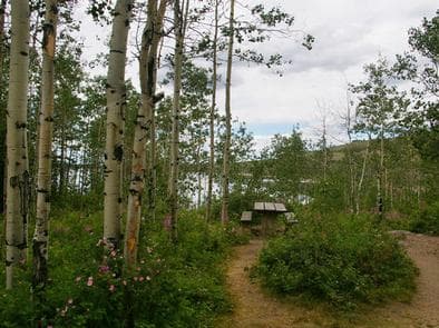 NARROWS CAMPGROUND photo 3