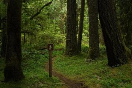 North Fork Bear Group Camp campground