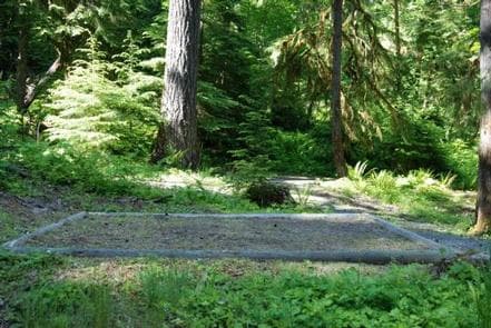 North Fork Elk Group Camp photo 3