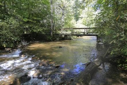 WHITE PINE SOUTH GROUP CAMP photo 3