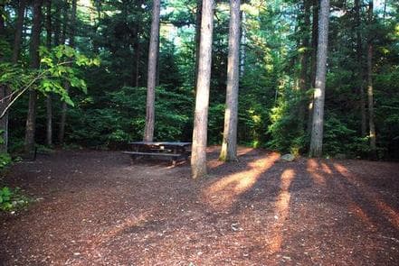 Sawbill Lake Campground - Superior National Forest photo 3