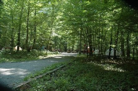 ELIZABETH FURNACE GROUP CAMP photo 3