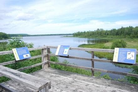 Au Train Lake Campground photo 3