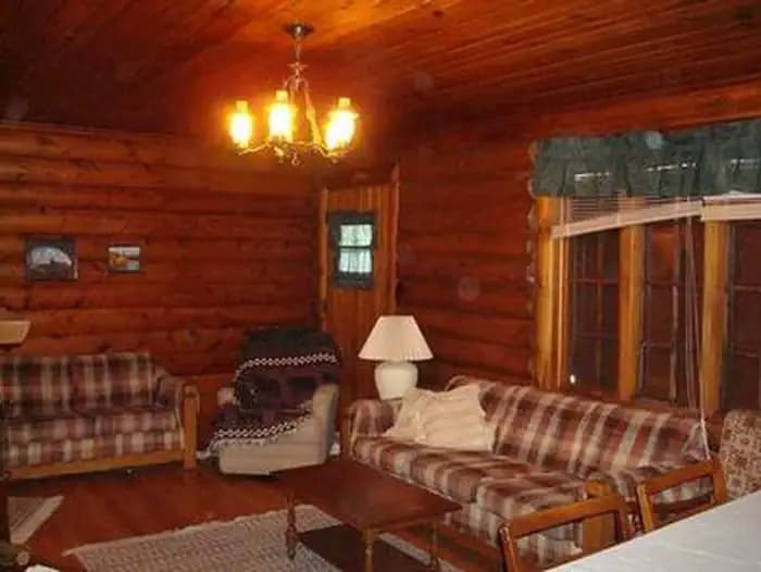 Moose Manor Cabin photo 3