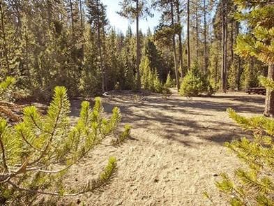 Chief Paulina Horse Camp campground