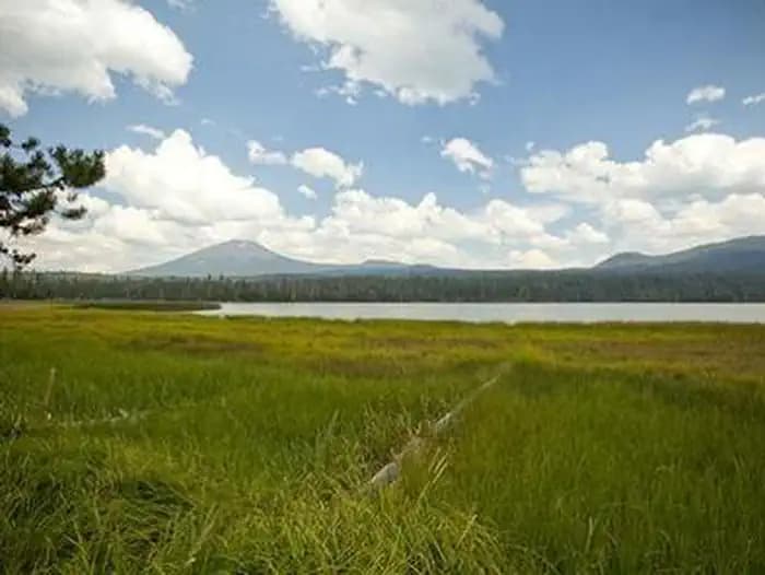 Little Lava Lake photo 2