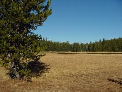 MUD LAKE CAMPGROUND photo 3