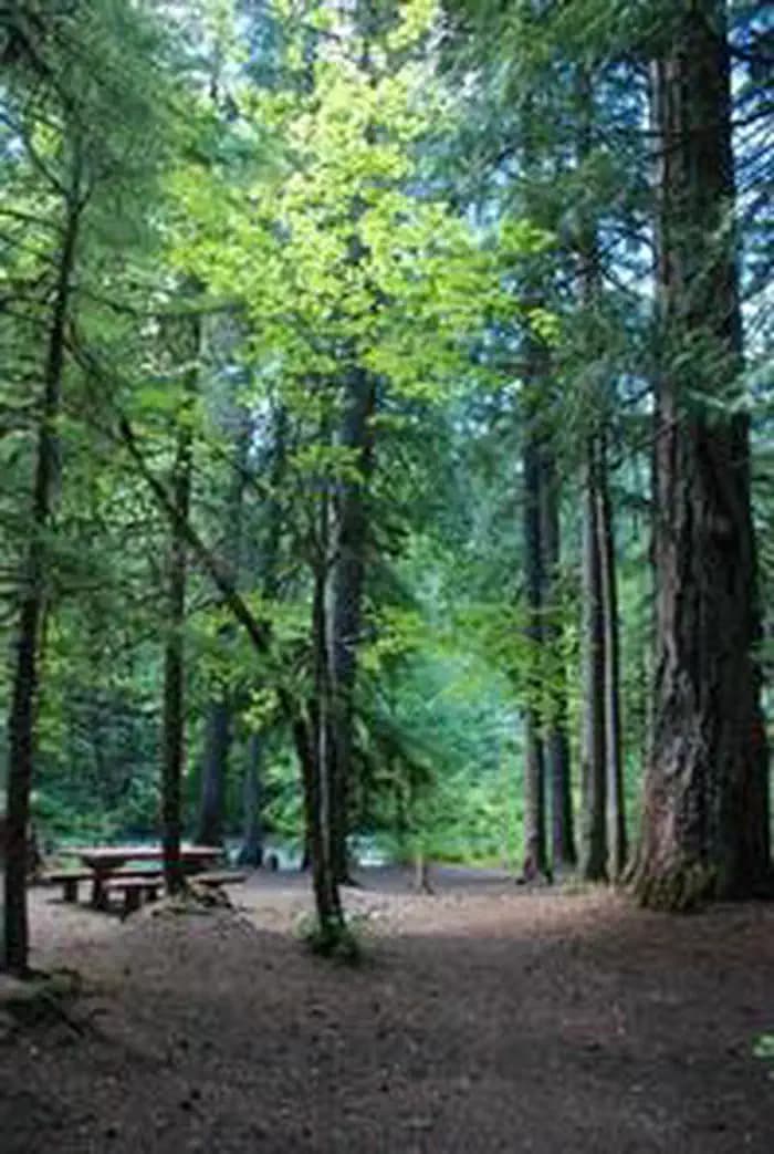 RIVERSIDE AT DETROIT (Willamette National Forest, OR) photo 3