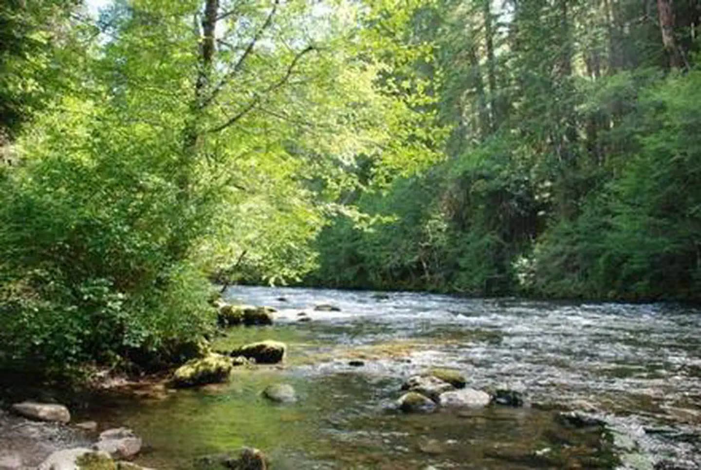 RIVERSIDE AT DETROIT (Willamette National Forest, OR) campground