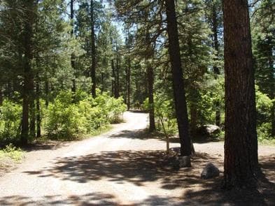 East Fork Campground (San Juan NF - CO)