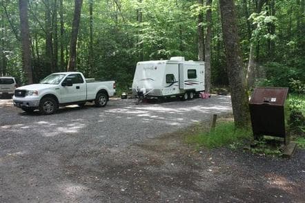 CATALOOCHEE CAMPGROUND photo 3