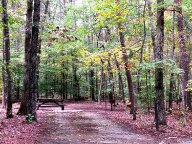 OAK RIDGE CAMPGROUND photo 3