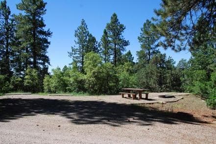 TARGET TREE CAMPGROUND