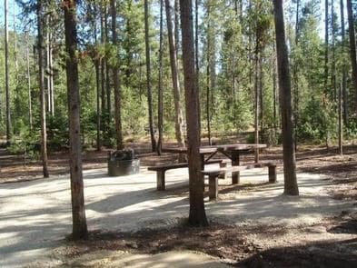 BOUNDARY CREEK CAMPGROUND photo 3
