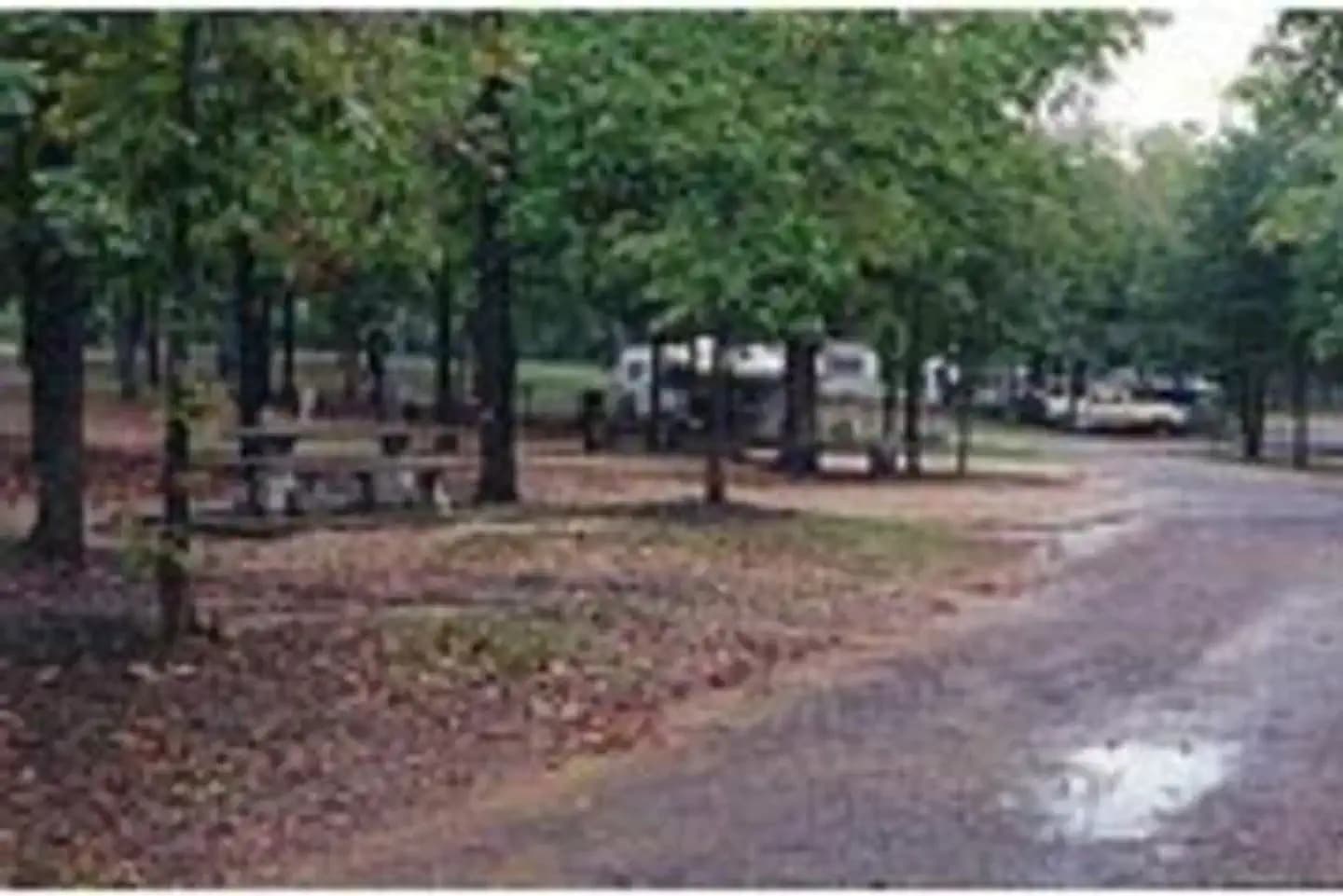 LITTLE RIVER PARK photo 2