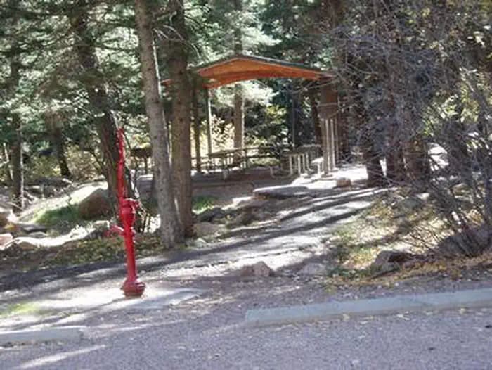 SPRUCE GROUP - LAKE ISABEL