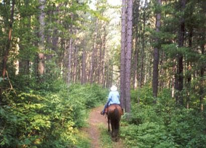 CUT FOOT HORSE CAMPGROUND photo 3