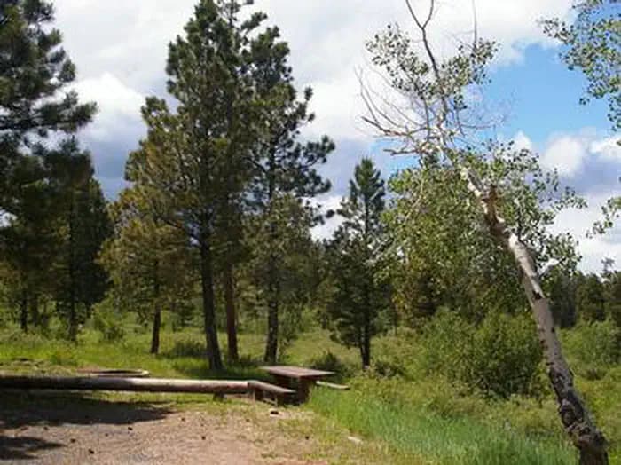 SKULL CREEK campground