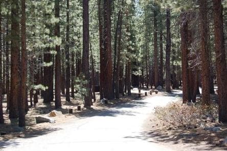 OLD SHADY REST CAMPGROUND photo 3