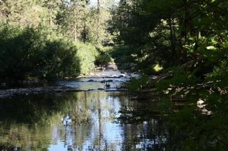 SUMMERDALE CAMPGROUND photo 3