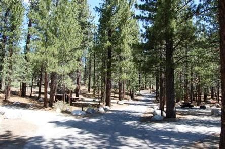 NEW SHADY REST CAMPGROUND photo 3
