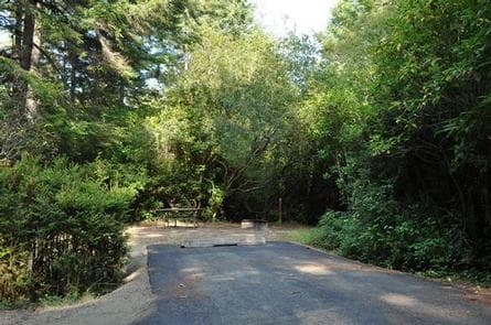 SUTTON CAMPGROUND campground