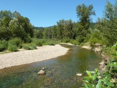 BUMBLEBEE CAMPGROUND photo 3
