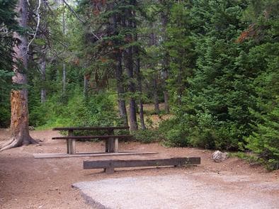 CLOVERLEAF CAMPGROUND photo 3