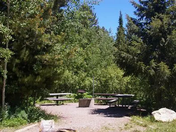 BIG SPRINGS - CARIBOU