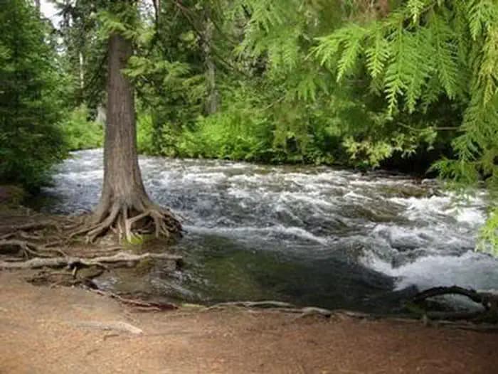 TUMWATER GROUP SITE campground