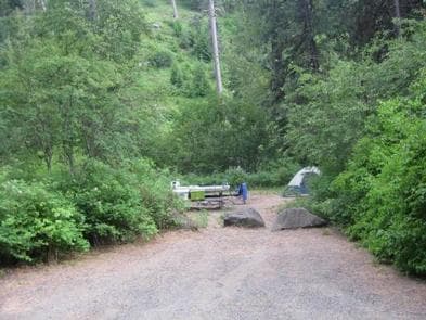 Cottonwood Campground - Naches River (WA)