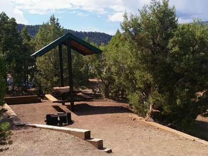 JARVIES FAMILY BOAT IN photo 2