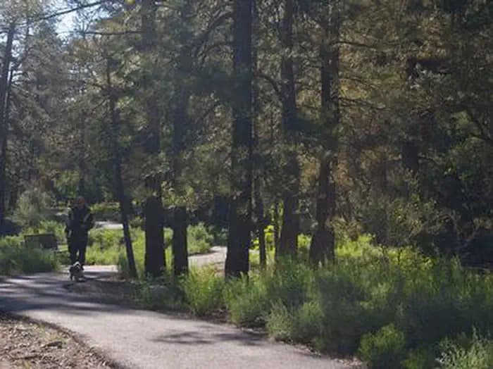 FLETCHER VIEW photo 3