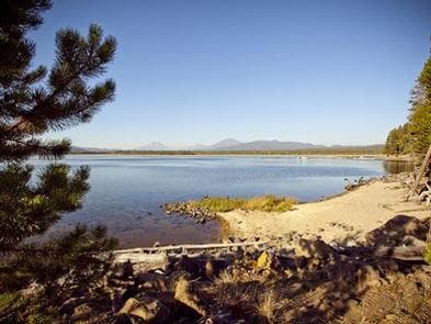 Crane Prairie Campground photo 3