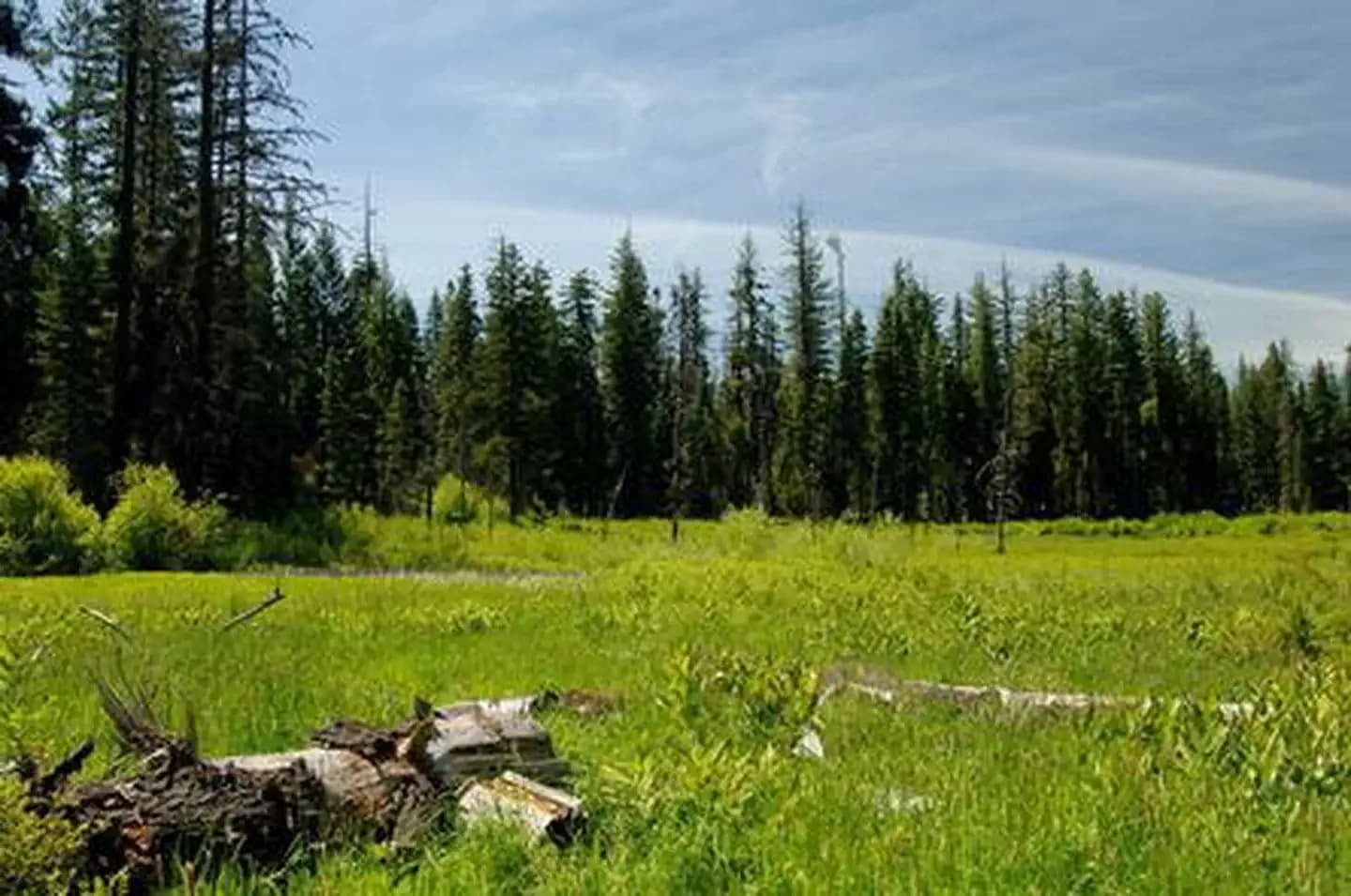 WILLOW PRAIRIE CABIN photo 3