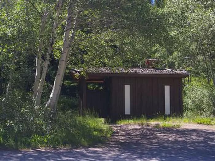 LOWER PENSTEMON photo 2