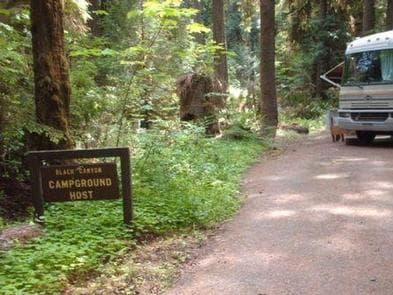 Black Canyon Campground (Willamette National Forest, OR) photo 3
