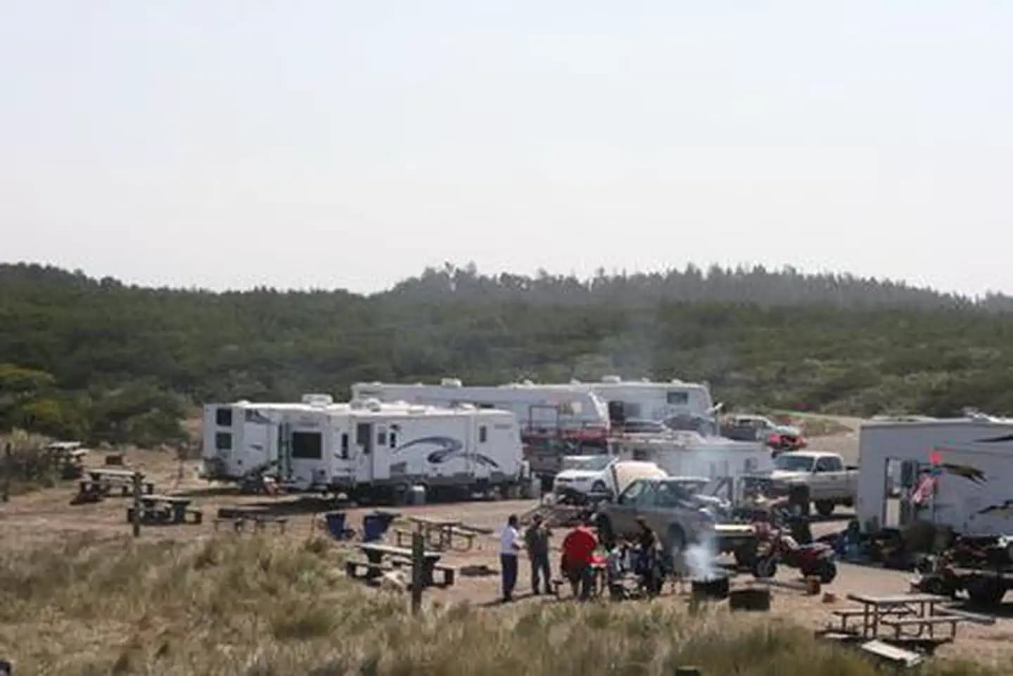 HORSFALL BEACH photo 3