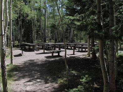 ELKHORN CAMPGROUND photo 3