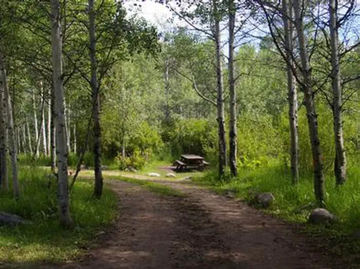 NORTH FORK (ID) photo 3