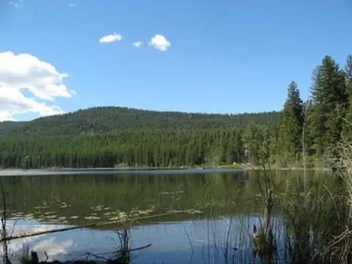 LOST LAKE GROUP UNIT campground