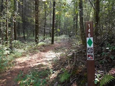 WILLIS KNOB HORSE CAMP campground